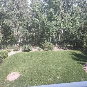 Apartment Spacious One Bedroom Walkout Basement